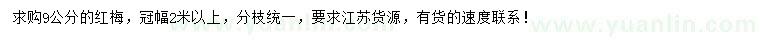 求購9公分紅梅