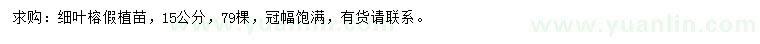 求購(gòu)15公分細(xì)葉榕