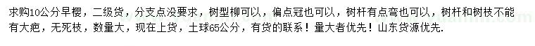 求購10公分櫻花