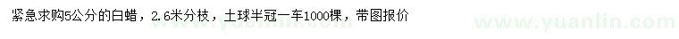 求購5公分白蠟
