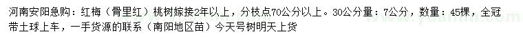 求購30量7公分紅梅
