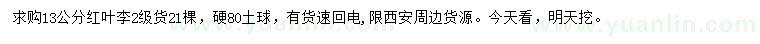 求購(gòu)13公分紅葉李