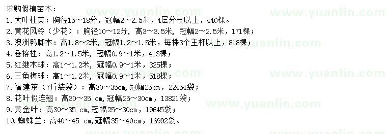 求購(gòu)大葉杜英、黃花風(fēng)鈴、澳洲鴨腳木等