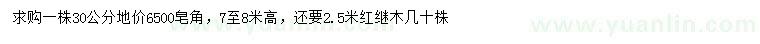 求購(gòu)7-8米皂角、2.5米紅繼木