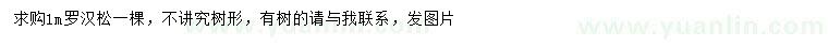 求購1米羅漢松