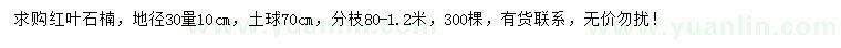 求購30量10公分紅葉石楠
