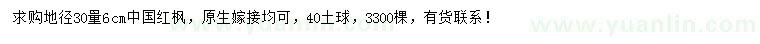 求購30量6公分中國紅楓