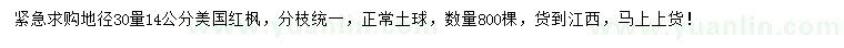 求購30量14公分美國紅楓