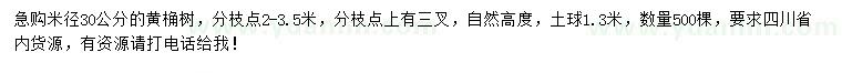 求購米徑30公分黃桷樹(shù)