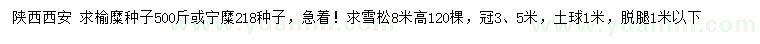 求購榆糜種子、寧糜218種子、雪松