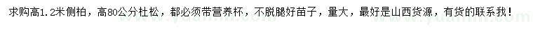 求購(gòu)高1.2米側(cè)柏、高80公分杜松