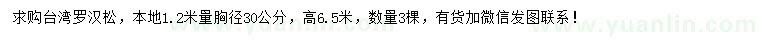 求購1.2米量30公分臺(tái)灣羅漢松
