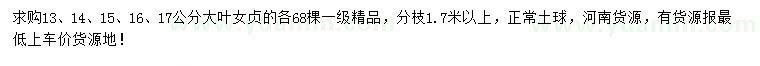 求購13、14、15、16、17公分大葉女貞