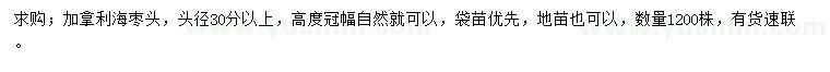 求購頭徑30分以上加拿利海棗頭