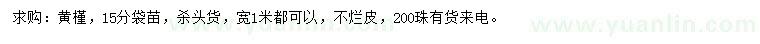 求購15公分黃槿