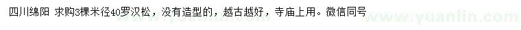 求購(gòu)米徑40公分羅漢松