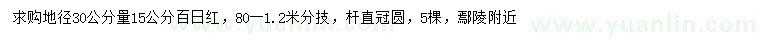 求購地徑30公分量15公分百日紅