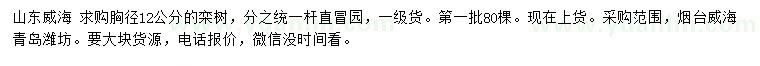 求購胸徑12公分欒樹