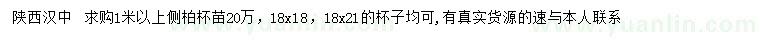 求購(gòu)1米以上側(cè)柏