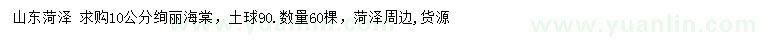 求購10公分絢麗海棠