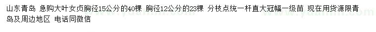 求購胸徑12、15公分大葉女貞