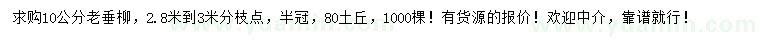 求購10公分老垂柳