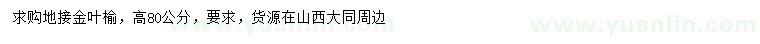 求購(gòu)高80公分地接金葉榆
