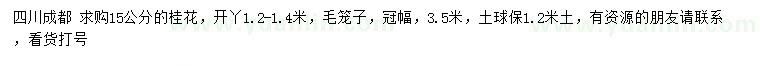 求購15公分桂花