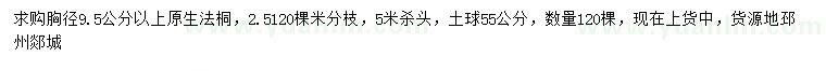 求購(gòu)胸徑9.5公分以上法桐