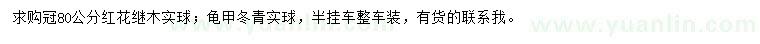 求購冠幅80公分紅花繼木、龜甲冬青
