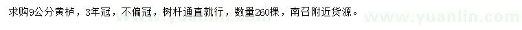 求購9公分黃櫨