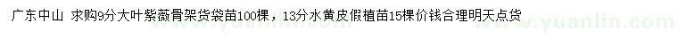 求購9公分大葉紫薇、13公分水黃皮