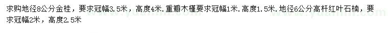 求購金桂、重瓣木槿、高桿紅葉石楠