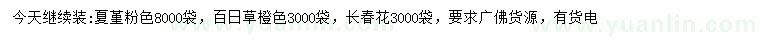 求購夏堇、百日草、長春花