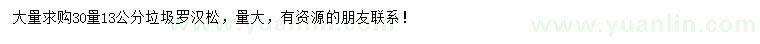 求購13公分垃圾羅漢松