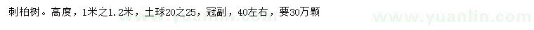 求購高度1-1.2米刺柏