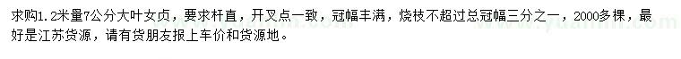 求購1.2米量7公分大葉女貞