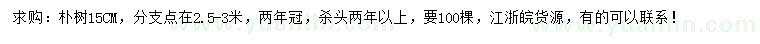 求購15公分樸樹