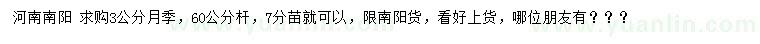 求購3公分月季