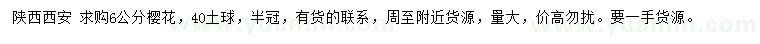 求購(gòu)6公分櫻花