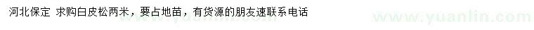 求購(gòu)2米白皮松