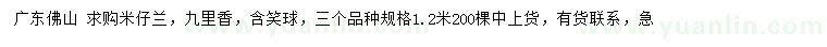 求購米仔蘭、九里香、含笑球