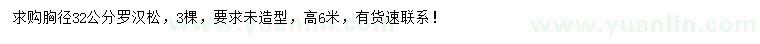 求購胸徑32公分羅漢松