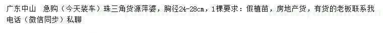 求購胸徑24-28公分萍婆