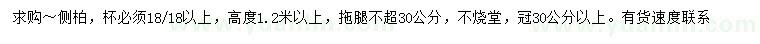 求購高度1.2米以上側(cè)柏