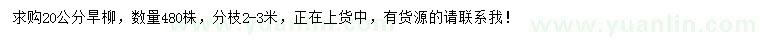 求購20公分旱柳