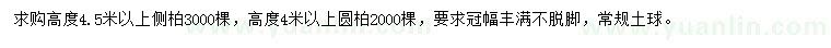 求購(gòu)高度4.5米以上側(cè)柏、4米以上圓柏