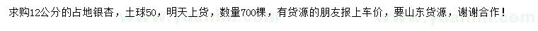 求購(gòu)12公分占地銀杏