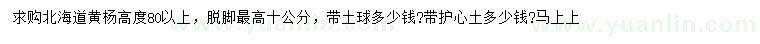 求購(gòu)高度80公分以上北海道黃楊
