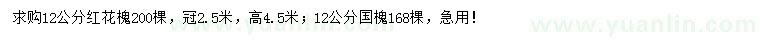 求購12公分紅花槐、國槐